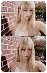 兩格葉