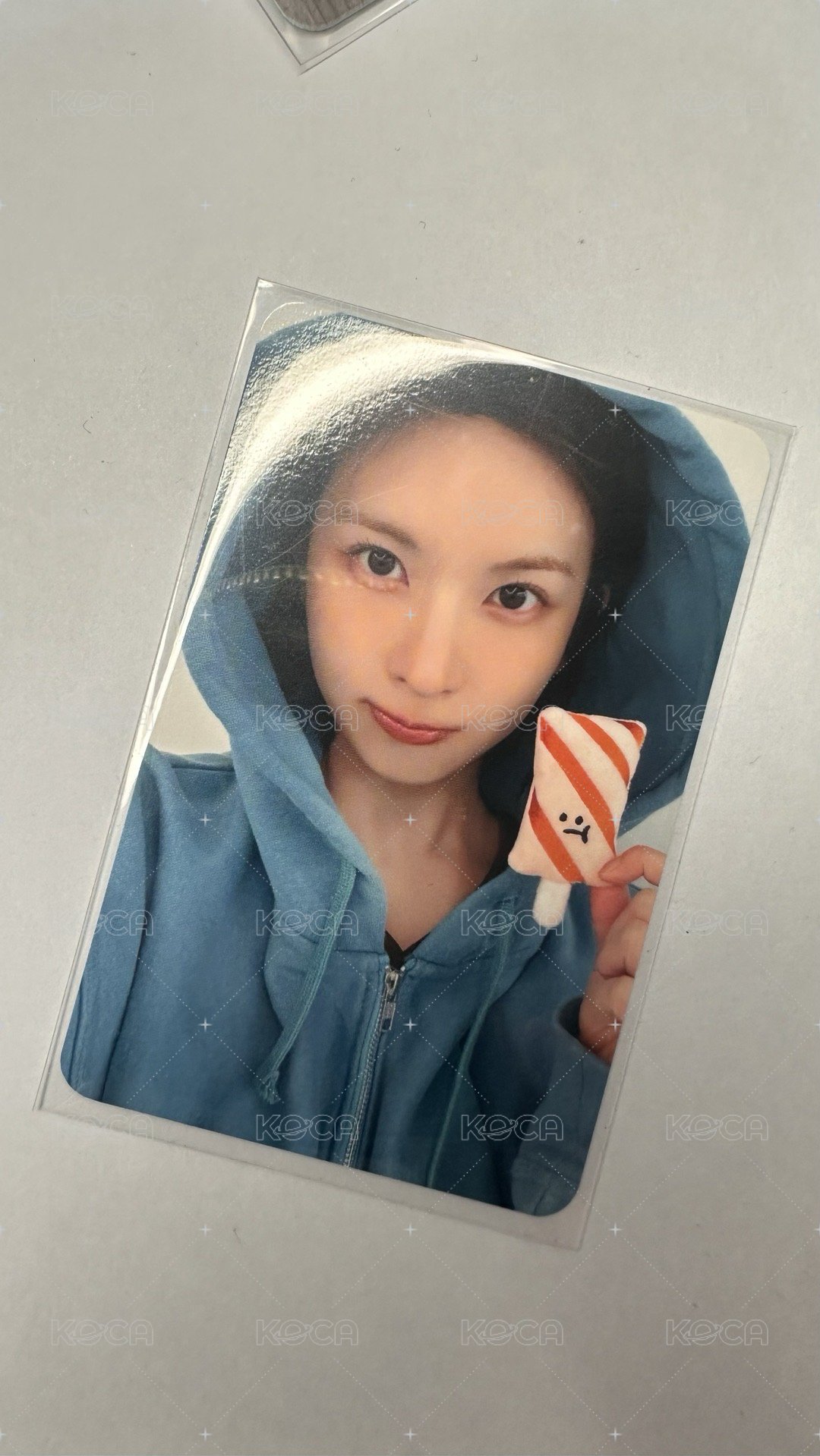ms魚板裴