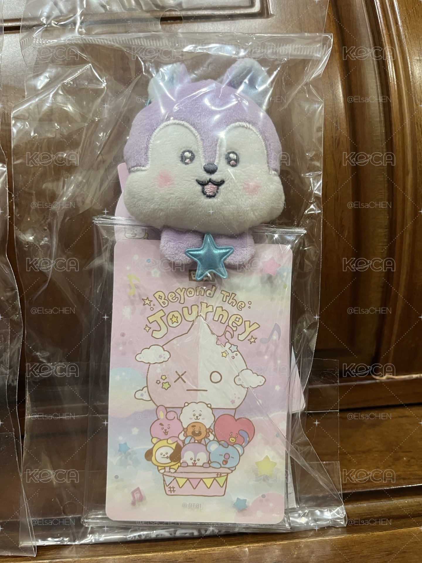BT21 26BTJ 卡包 RJ MANG