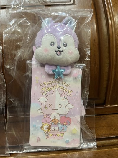 BT21 26BTJ 卡包 RJ MANG