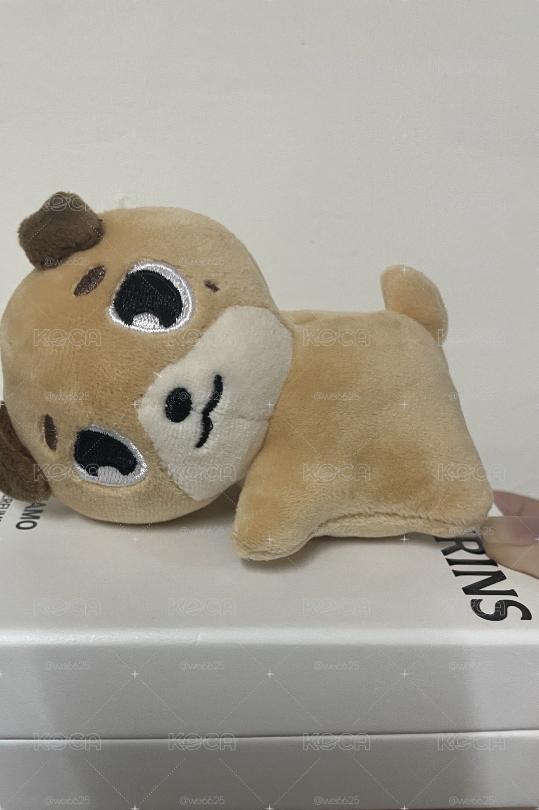 暖手娃🐶