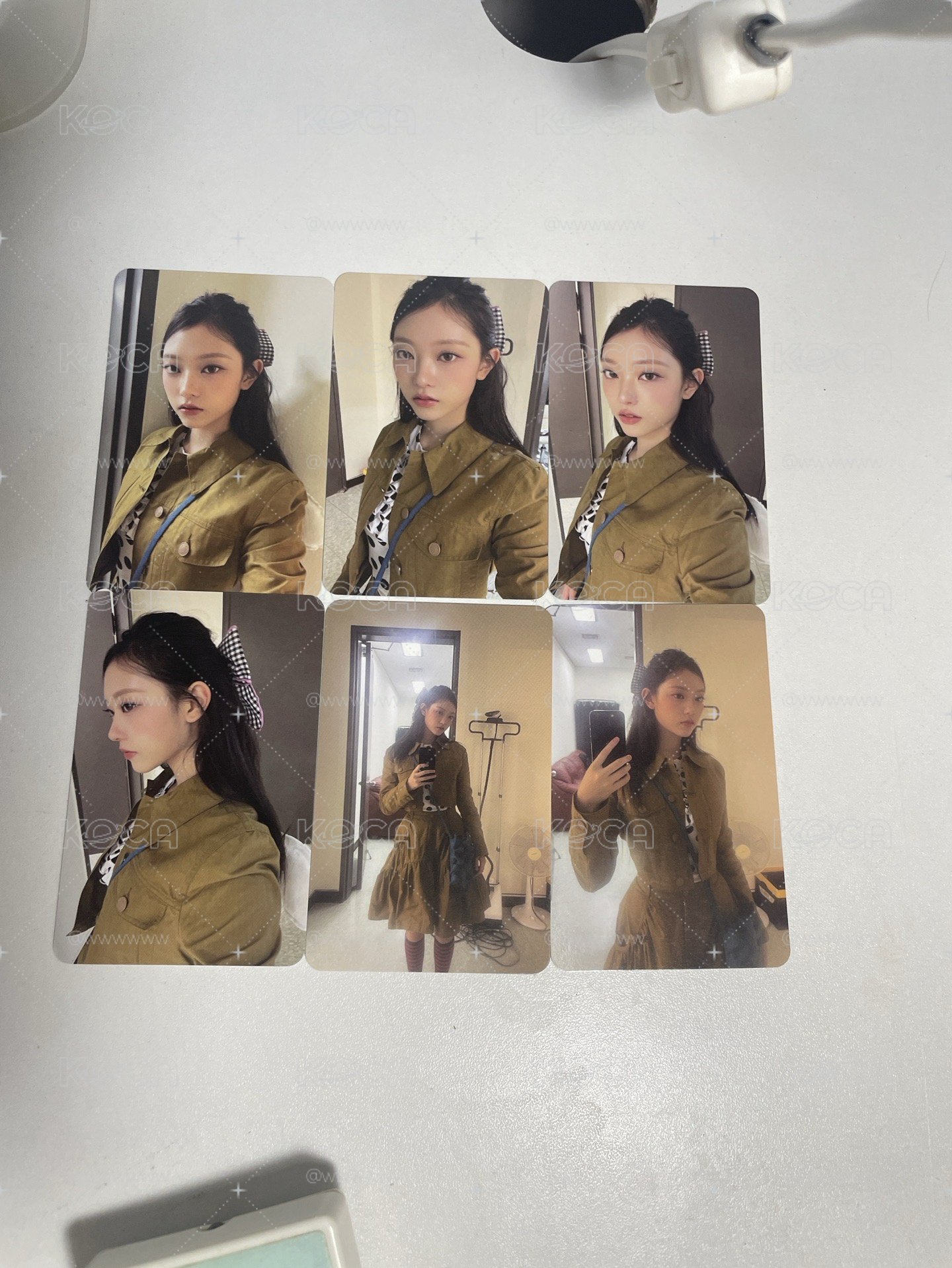 淑女貓✖️6