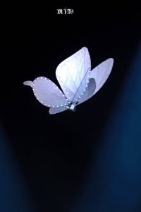jasmine