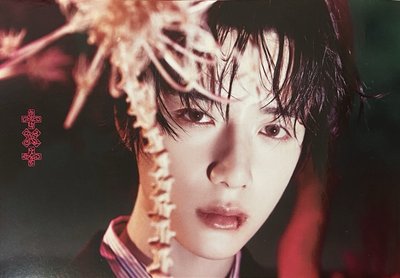 🎀迷八 k4 卡盒版 特典 明信片 杋圭