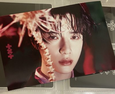 🎀迷八 k4 卡盒版 特典 明信片 杋圭