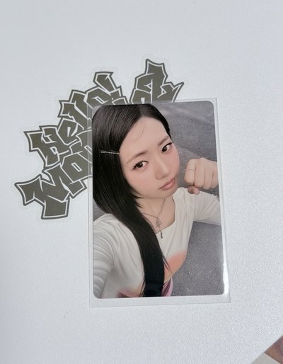 大鴻線上滿額 中背 茶