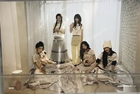 特典卡 wvs 特典明信片