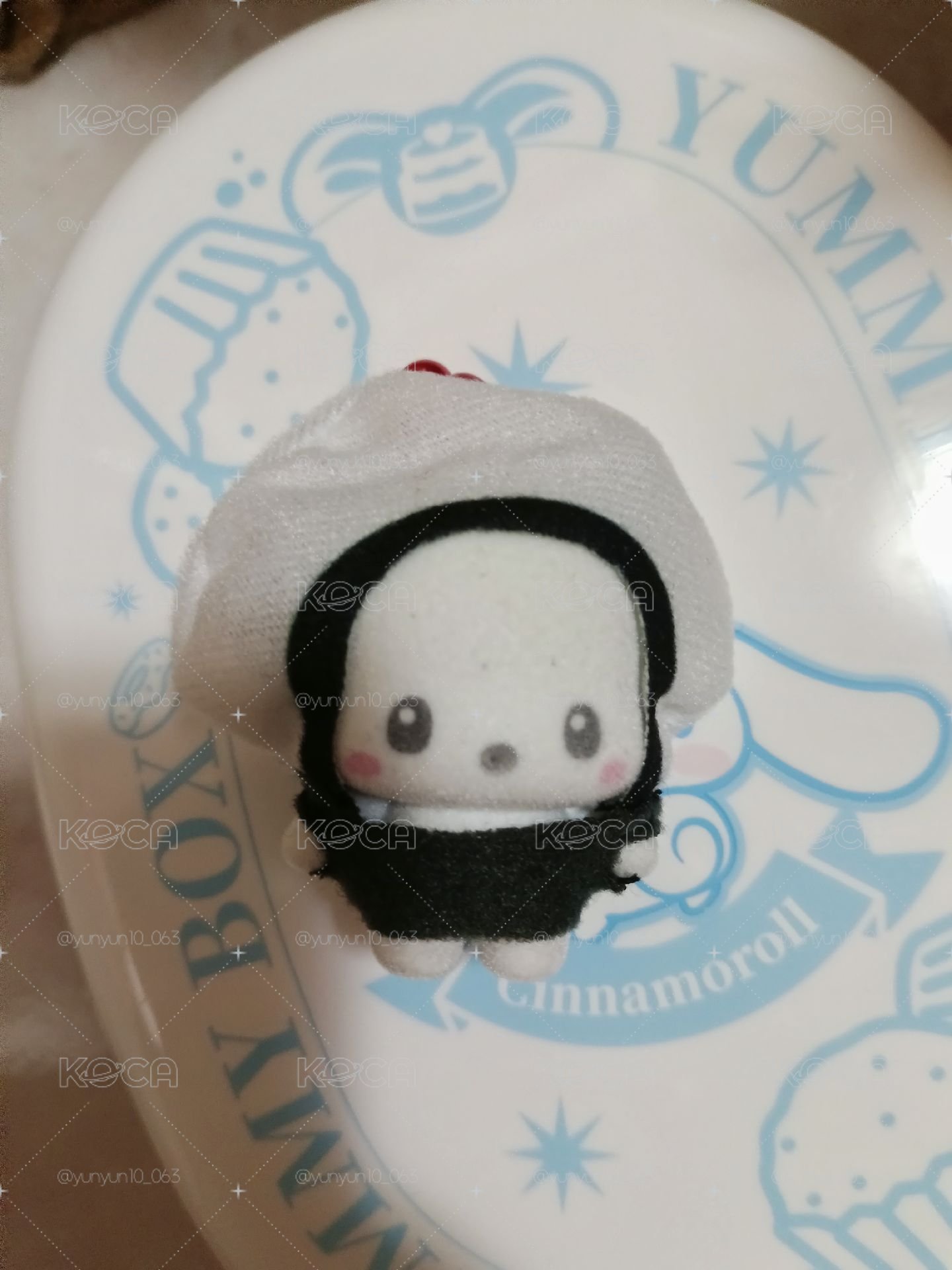 帕恰狗