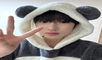 小梨