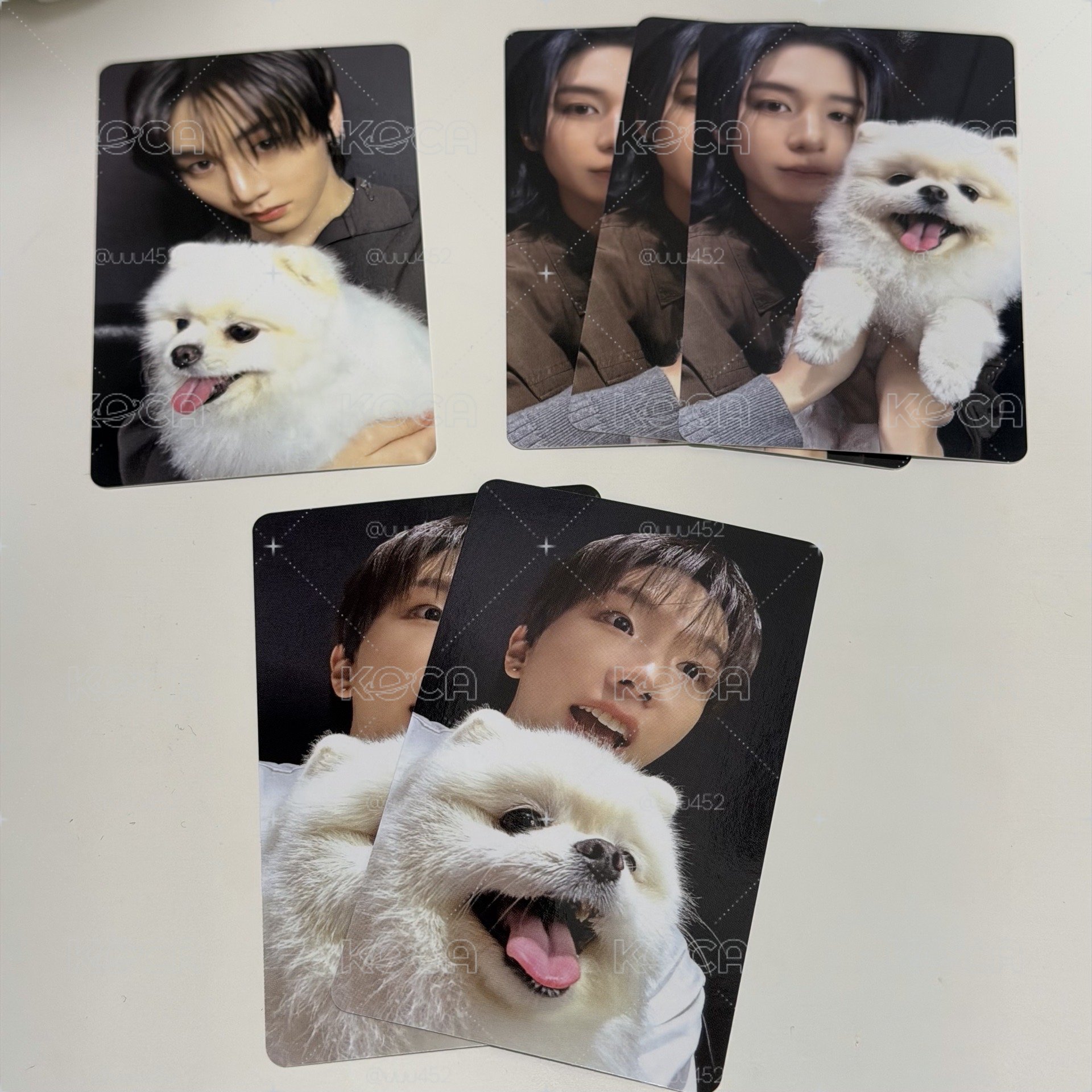 狗狗特典現貨
