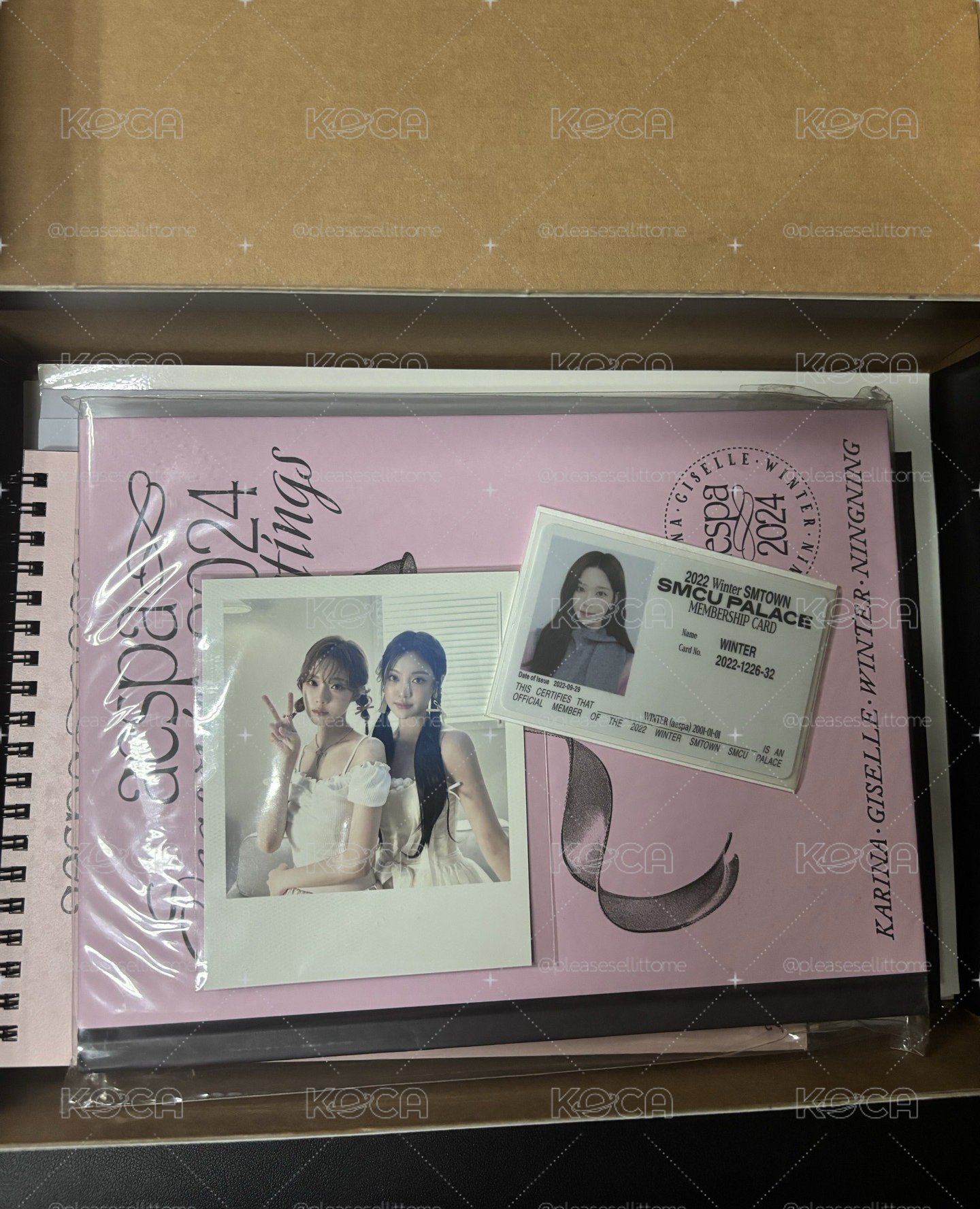 冬小盤