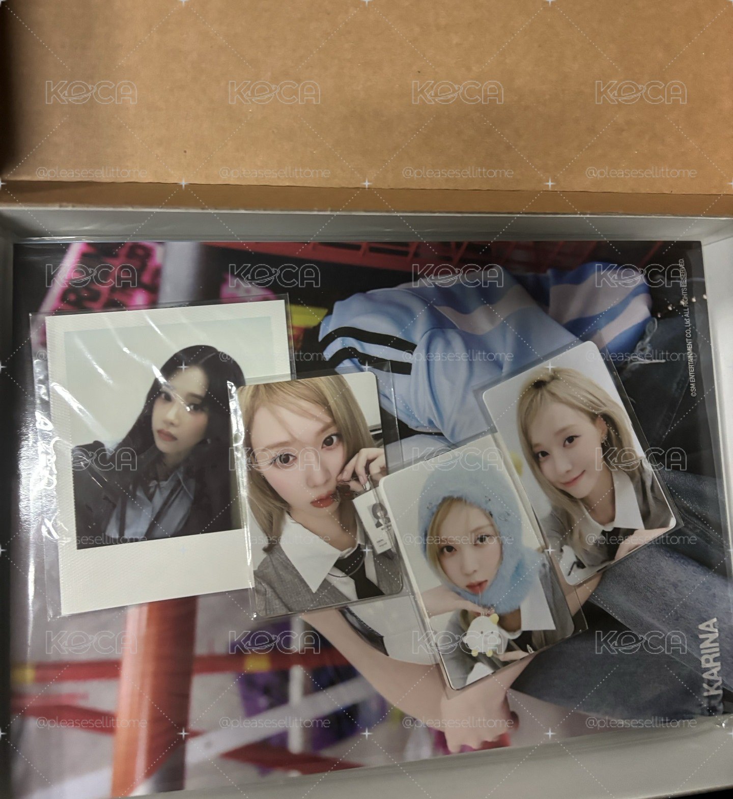 冬小盤