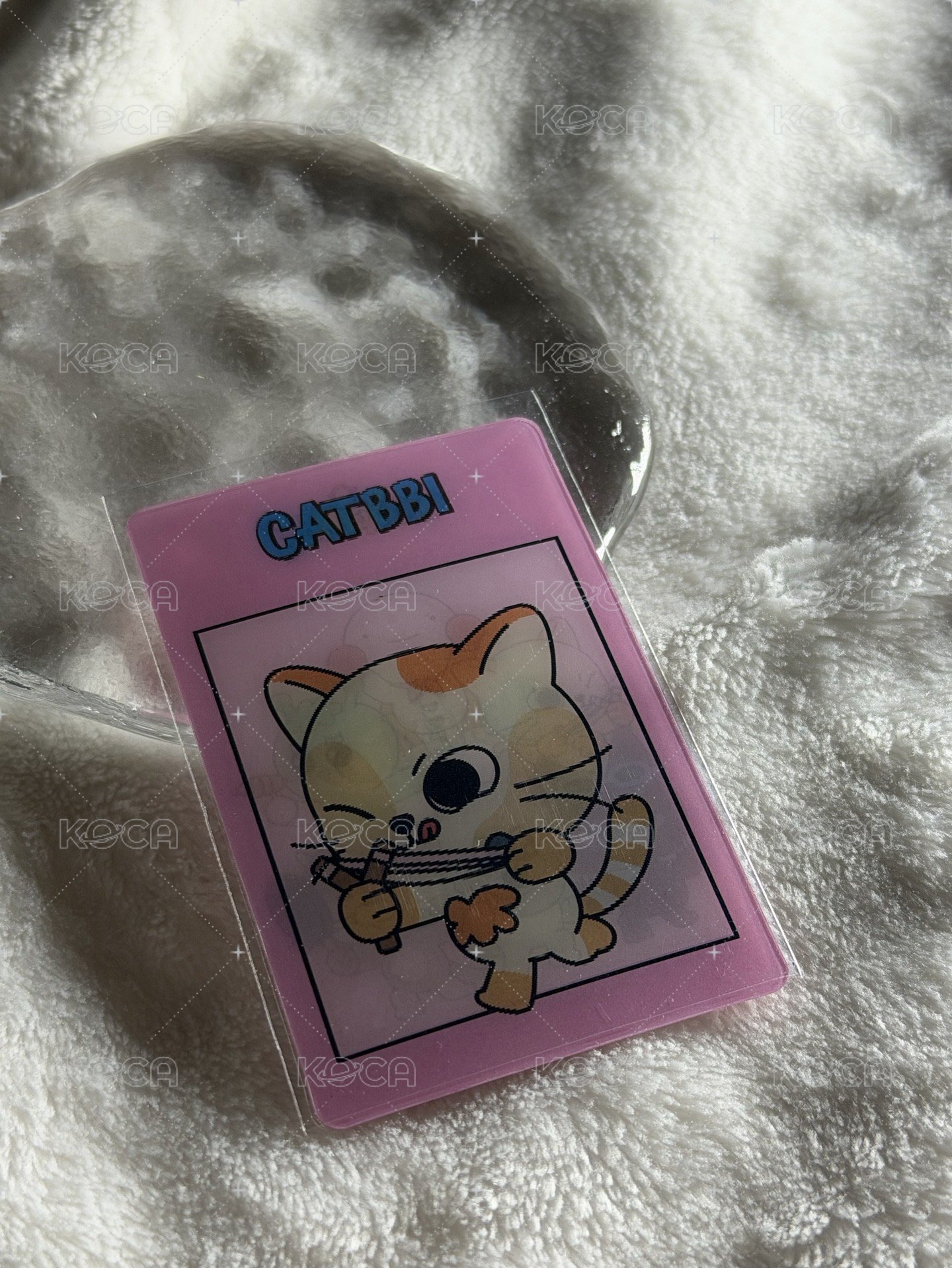 CATBBI