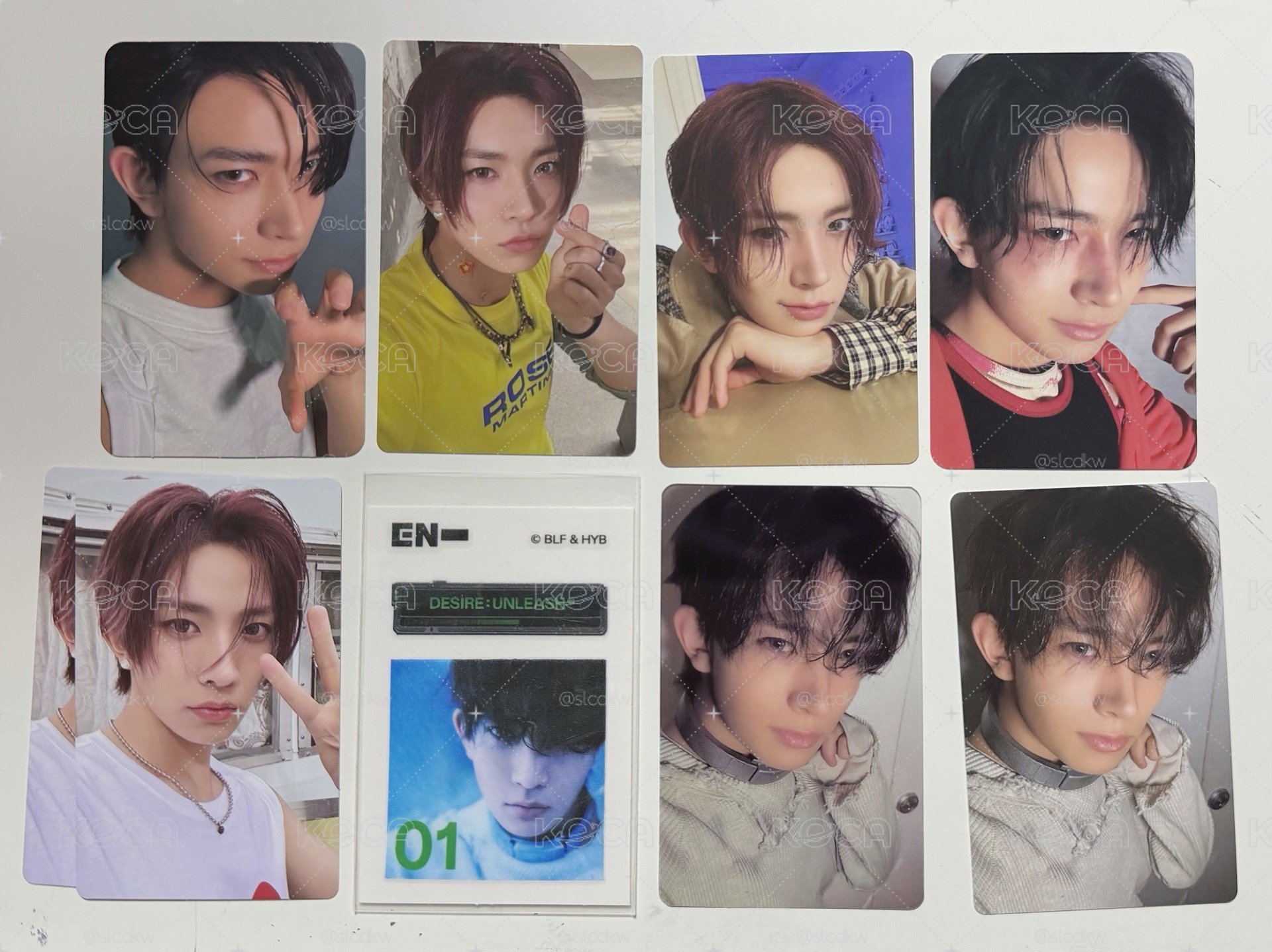 EVAN 李羲承 🐹 小卡 出清🥬