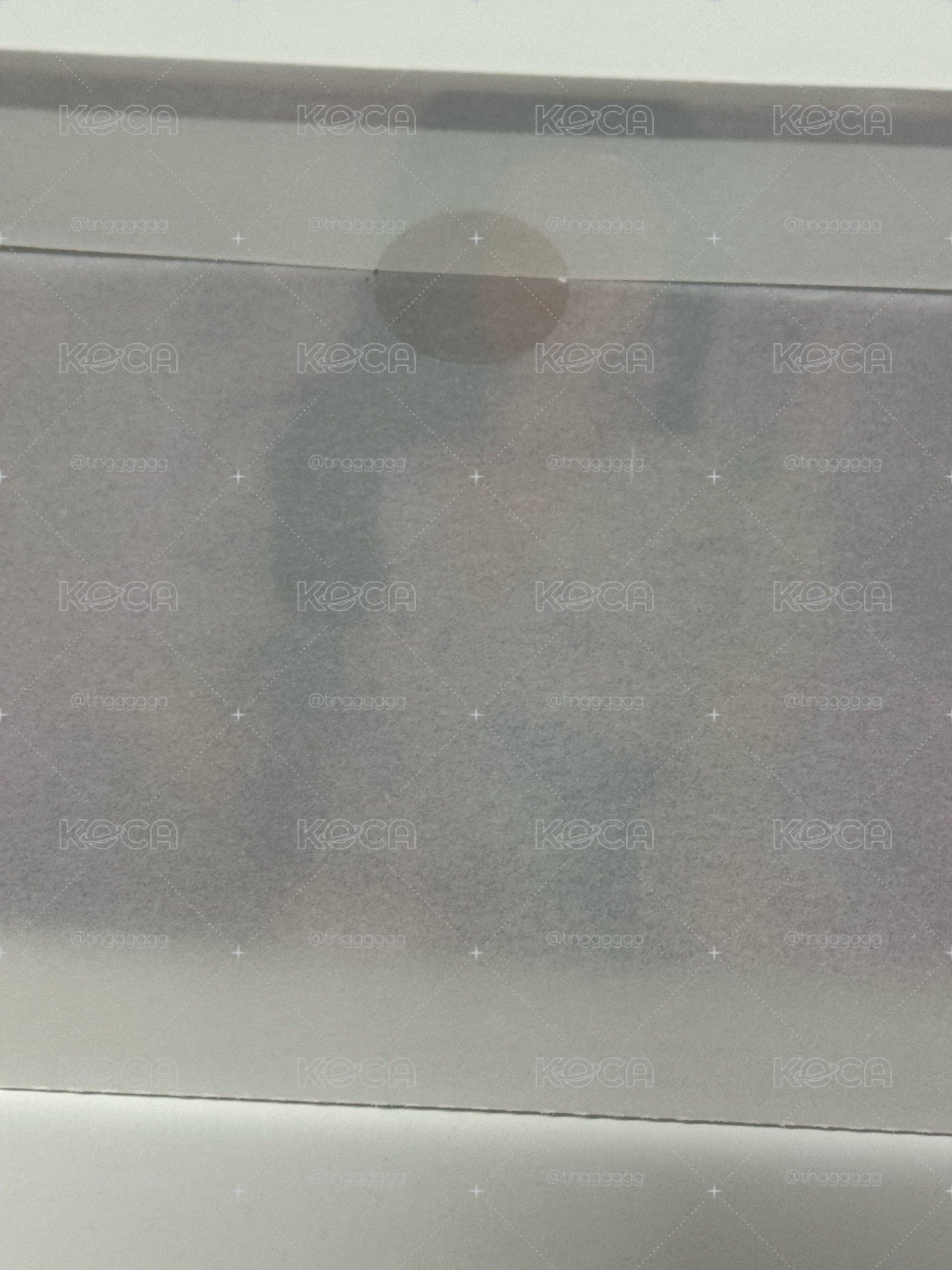 BLACKPINK 19‘限量PB 專輯 