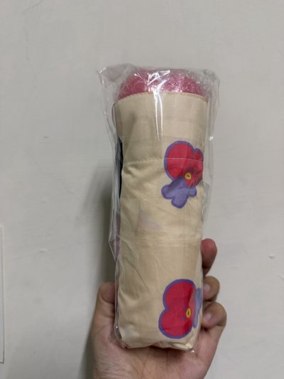 BT21 TATA雨傘
