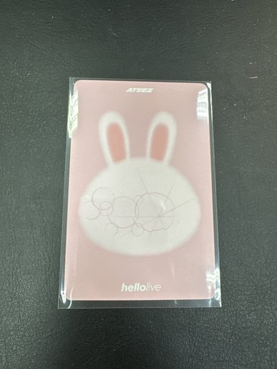 粉兔琦/24小時超快速寄出