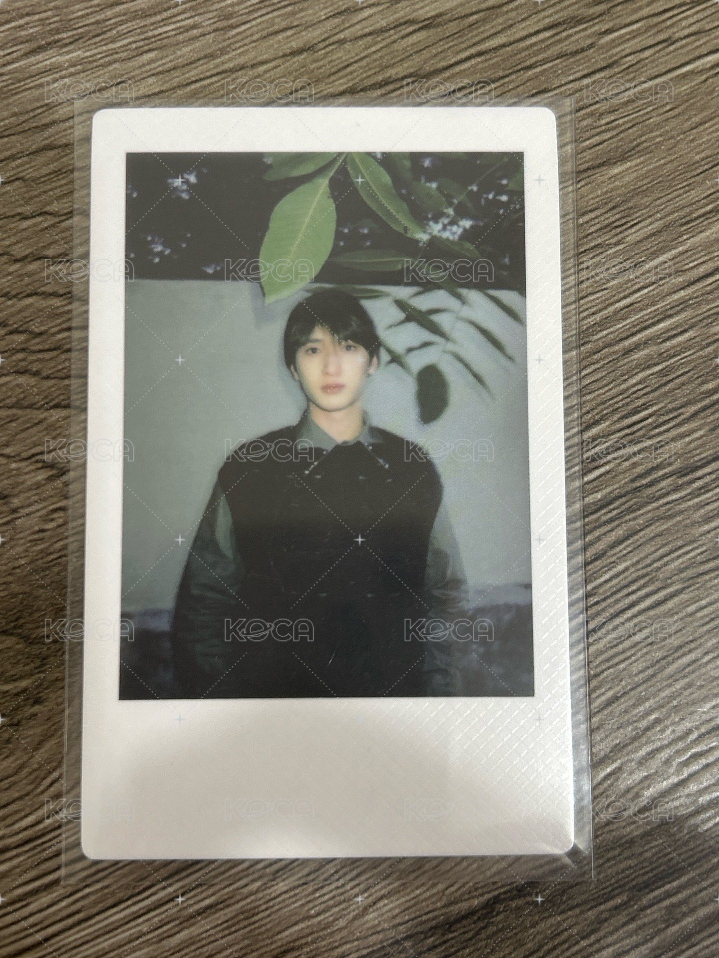12二四年台曆拍立得
