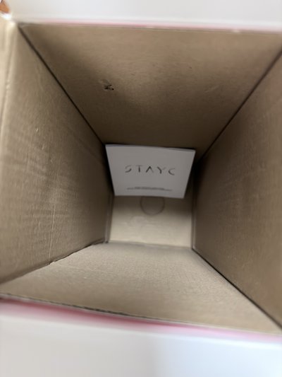 （現貨 一日左右寄出）STAYC 手燈 應援手燈 一代手燈 應援棒