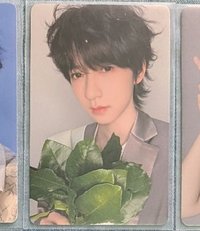 六週年 柚子葉