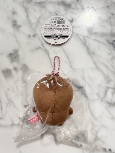 小甲蟲原皮吊飾 全新