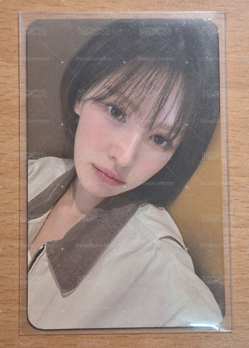 Wendy櫻花季