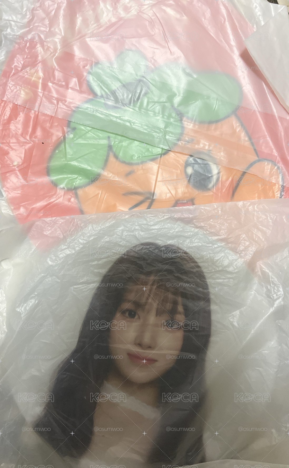 飯咪扇子+扇套不拆