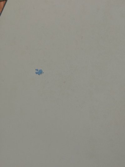 正二 大海報