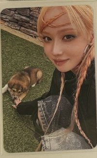 正規一 zine版專卡