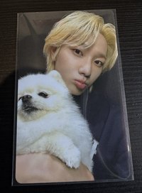 成淏