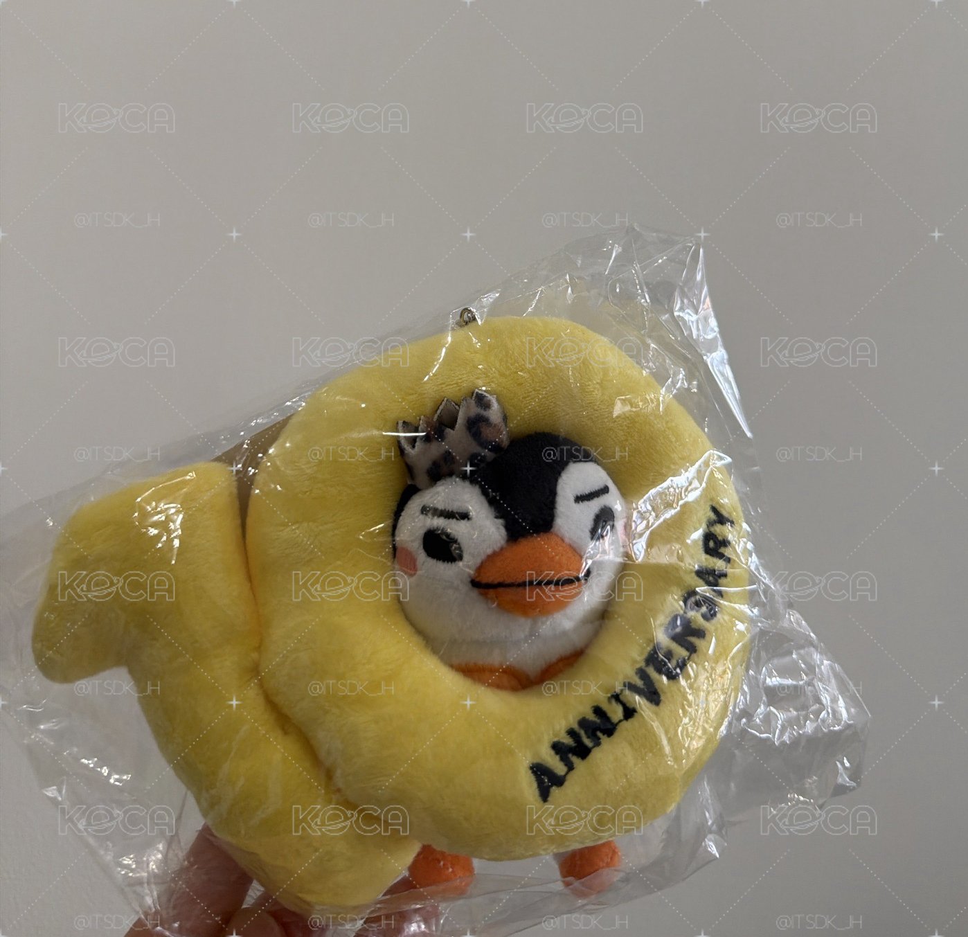 10週年鵝 全新