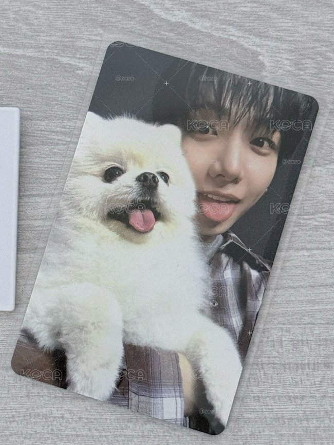 🐶卡 明宰鉉