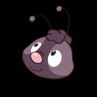 Beetle