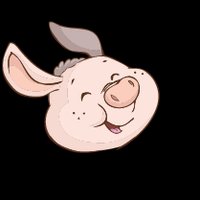 Pig
