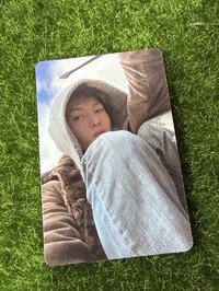 刮刮馬
