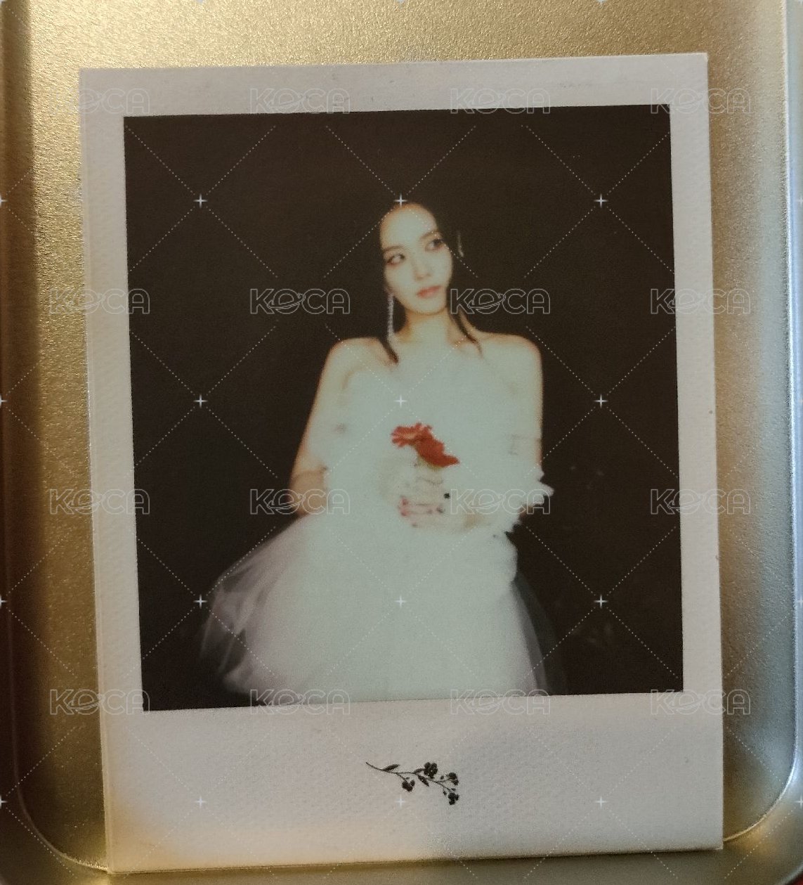 白莎拍立得