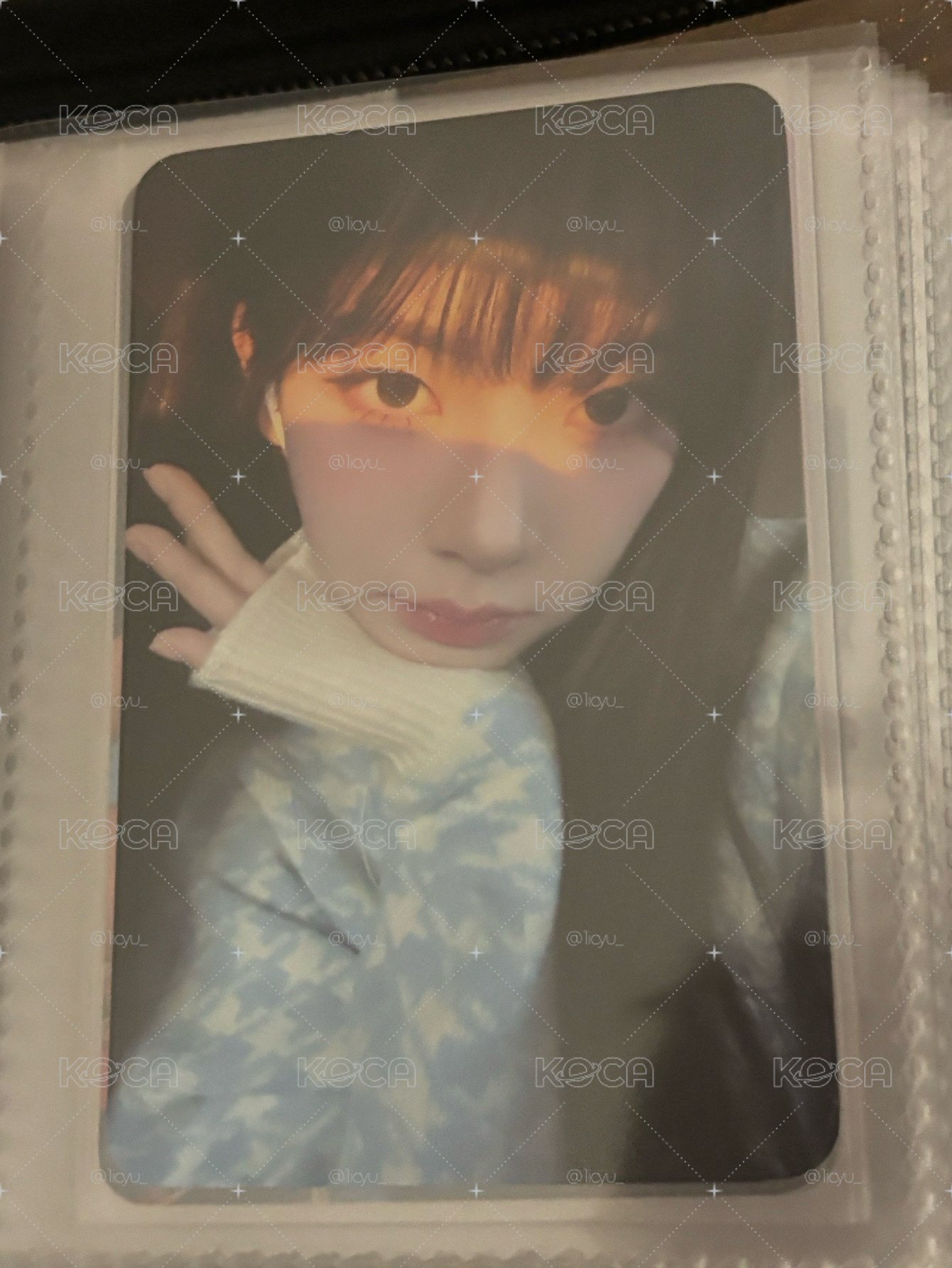 陽光柚
