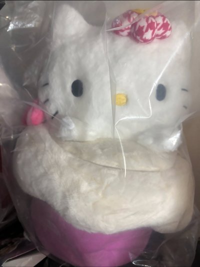 kitty款