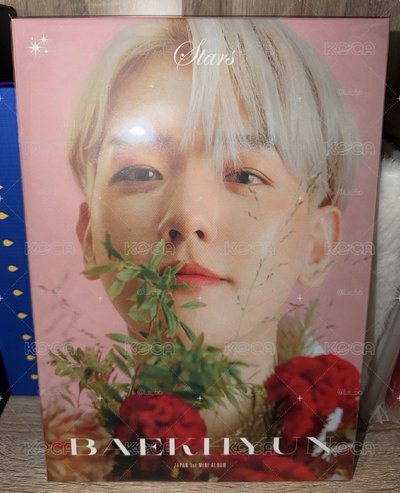 《BAEKHYUN》日專