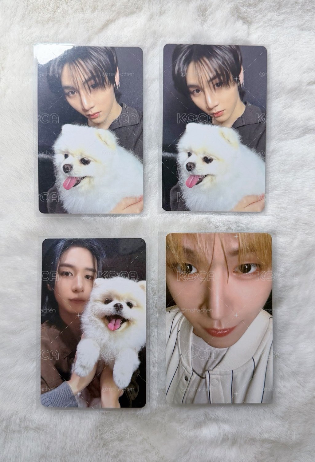 Boynextdoor 正規一《HOME》wvs 預購特典卡