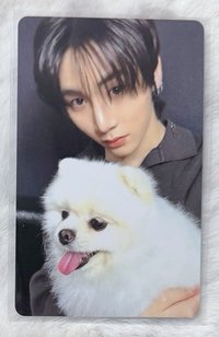 狗狗4