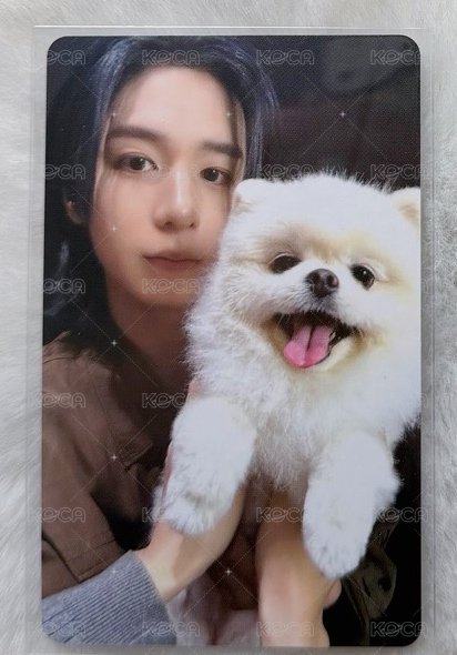 狗狗5
