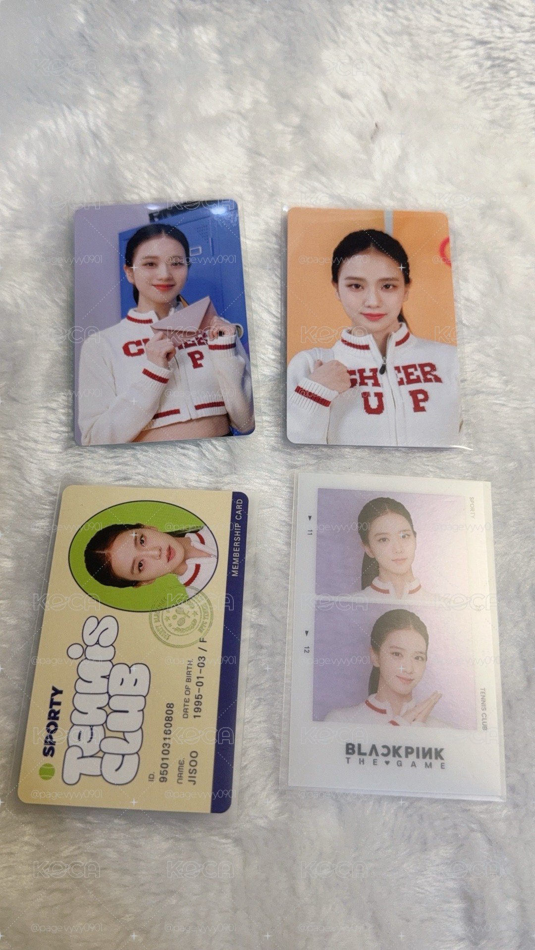 BPTG 智秀