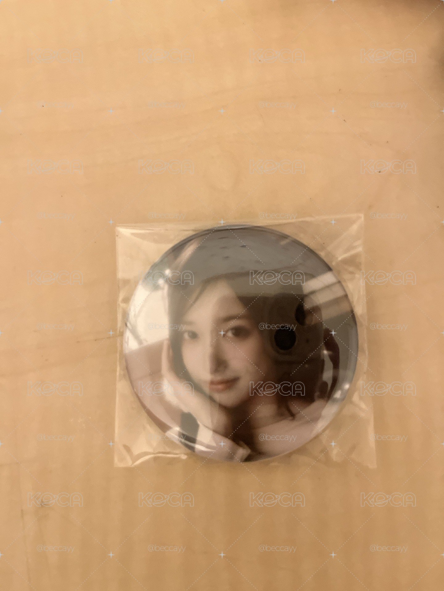 瑞徽章