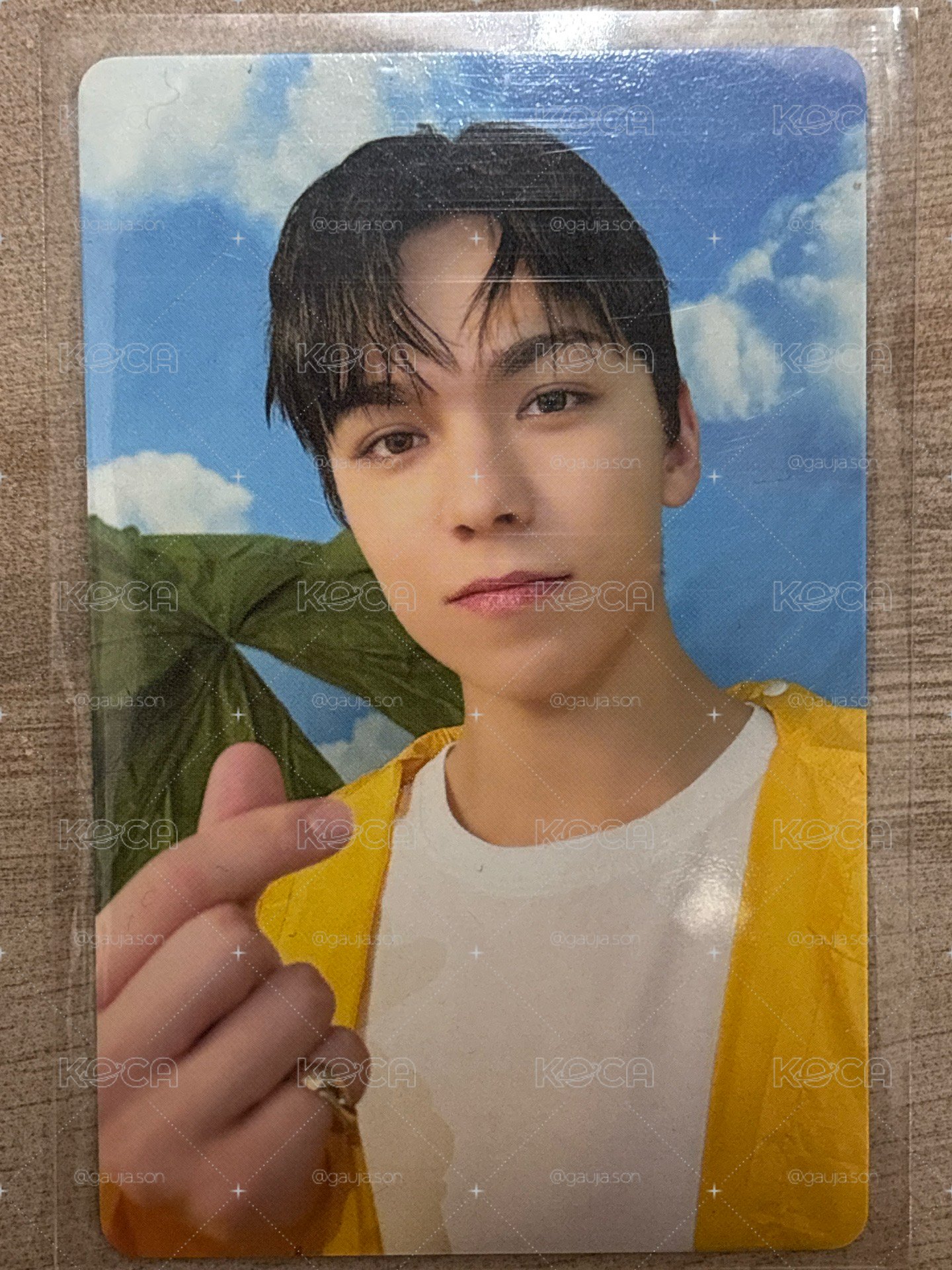 MINI11 專輯卡 CARAT ver.
