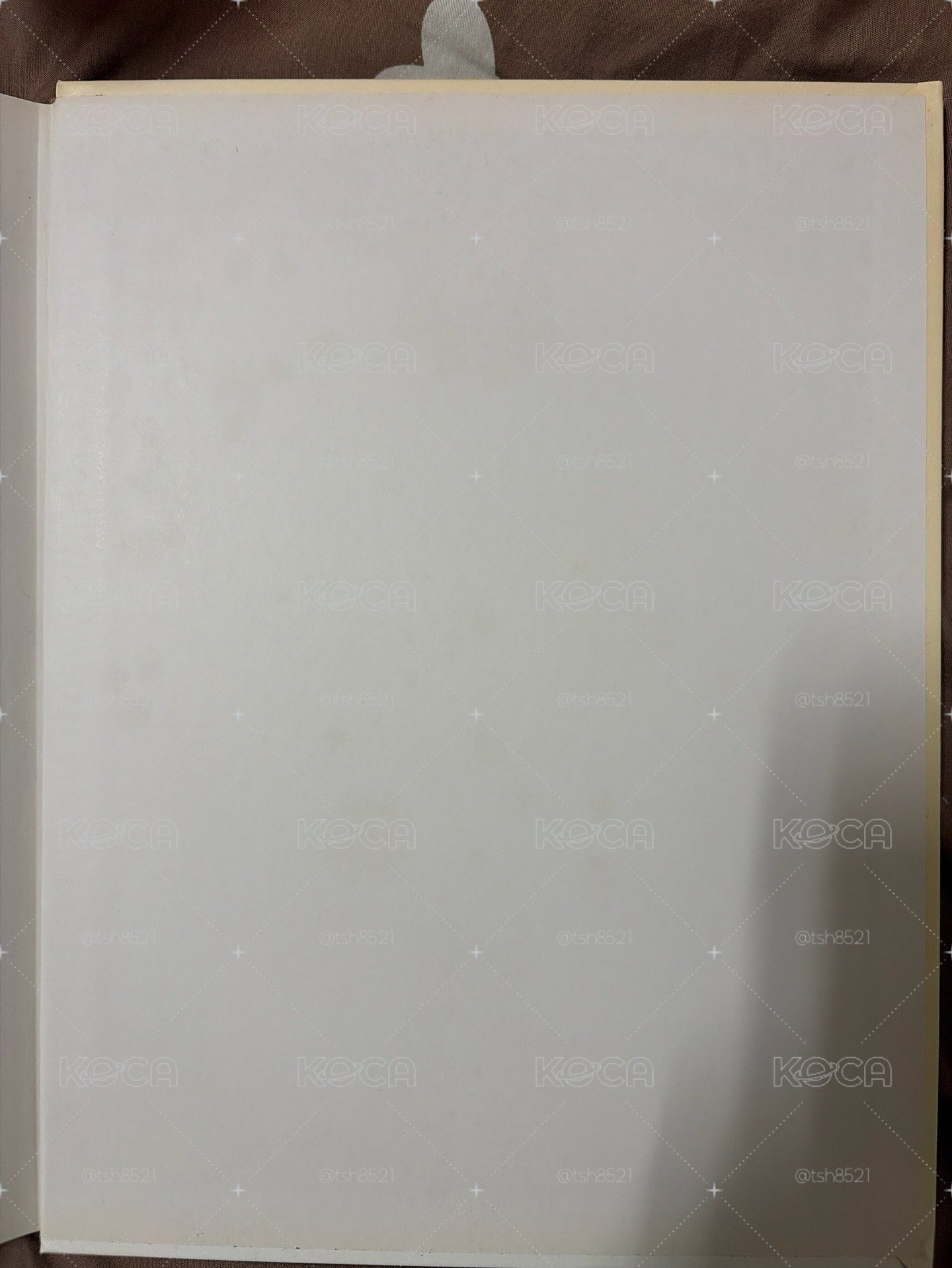 子瑜拼盤