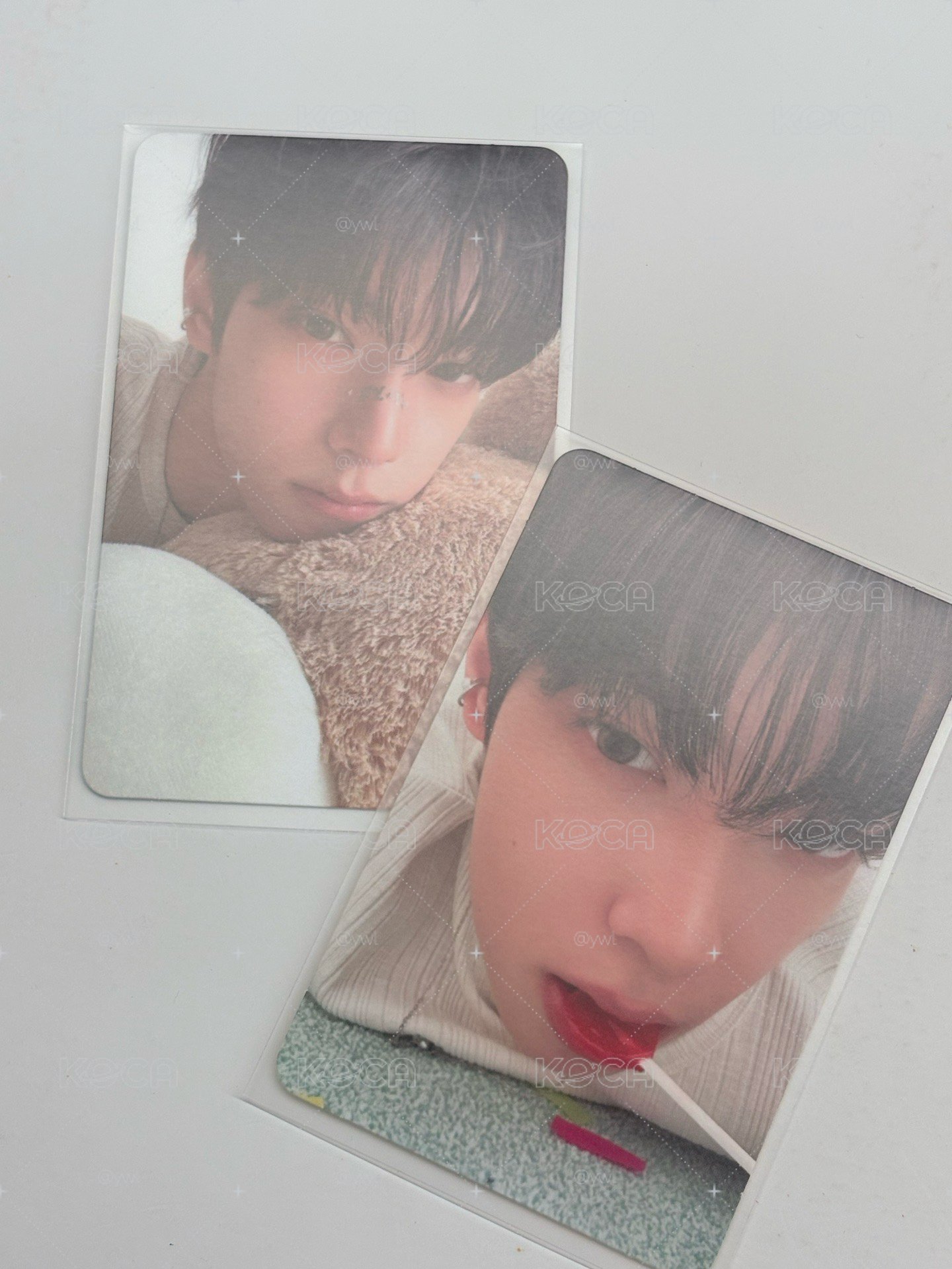 紅鯉魚與綠鯉魚與驢