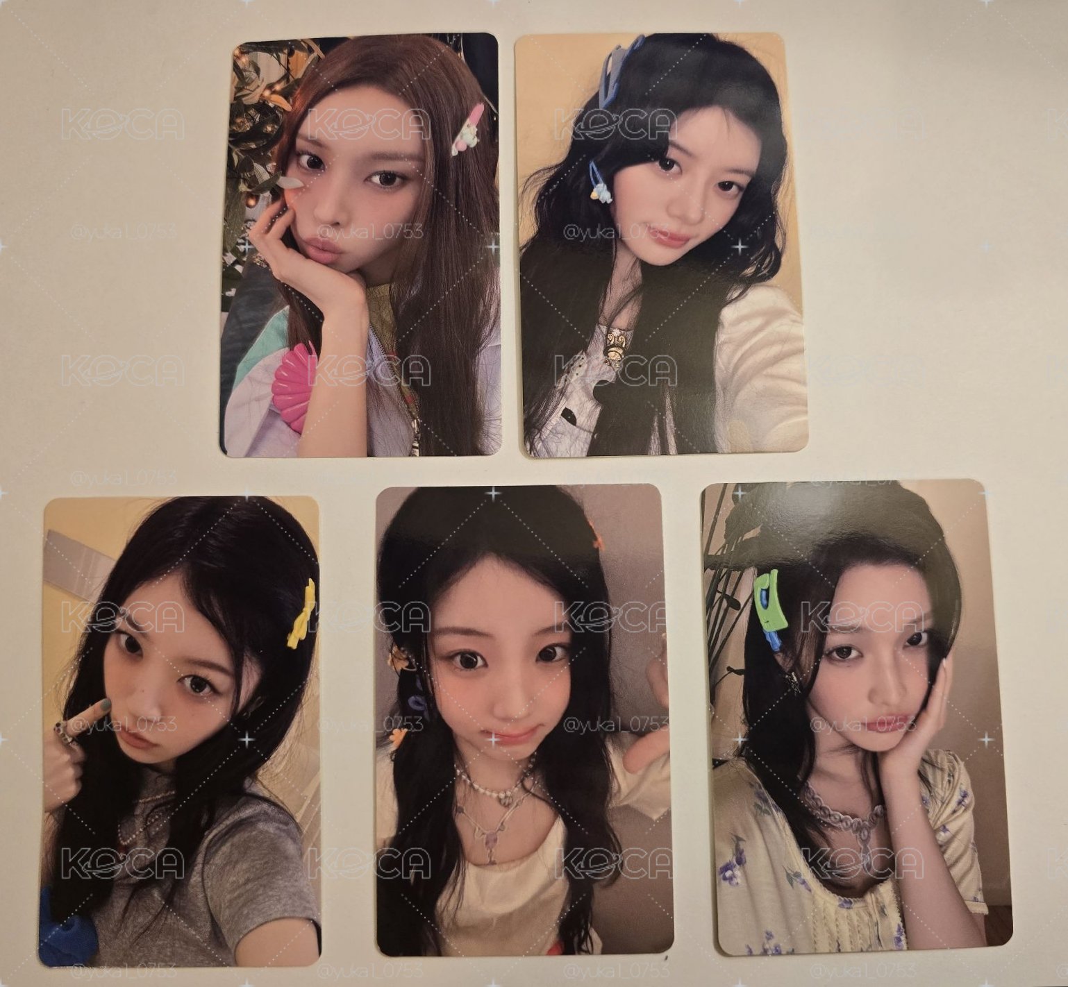 環球預售 特典卡PAW PAW ver.