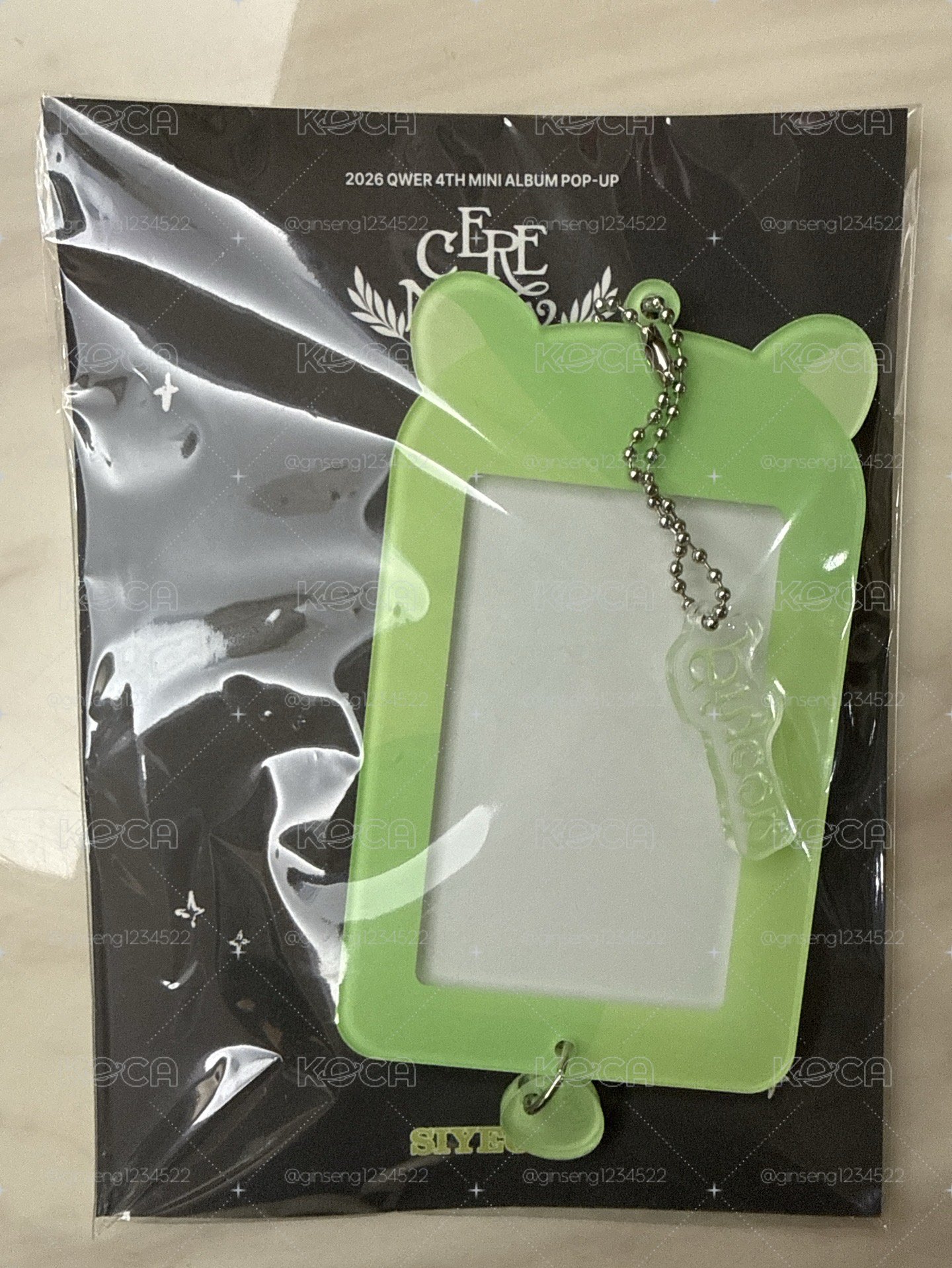 快閃店 燕 卡套全新未拆（卡套+卡）