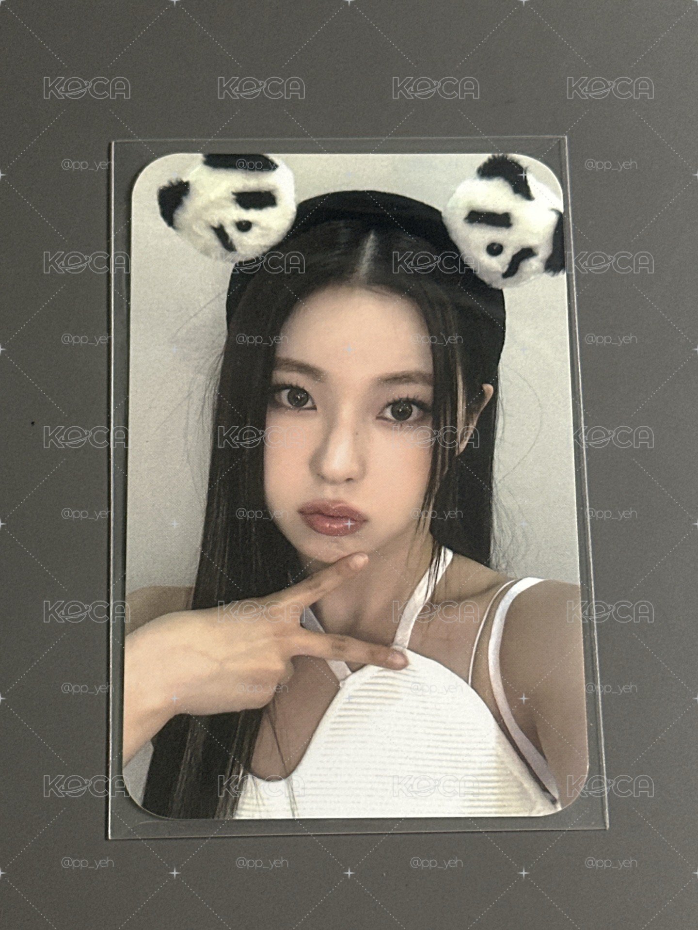 ✅NMIXX 楠藝熊貓圭